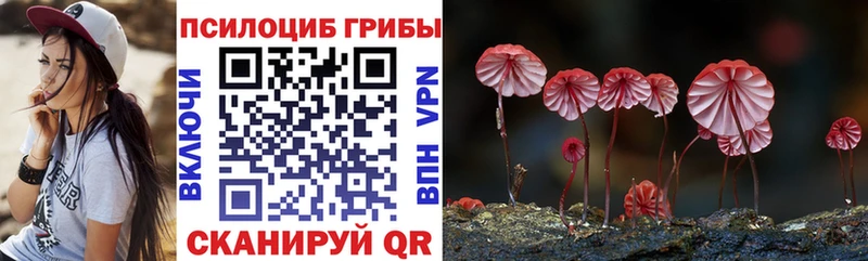Псилоцибиновые грибы Cubensis  Чердынь 